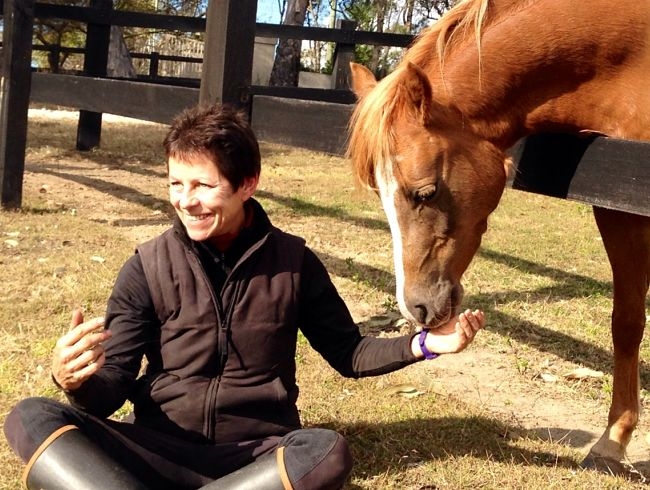 Using horse as healer with Equine Facilitated Learning